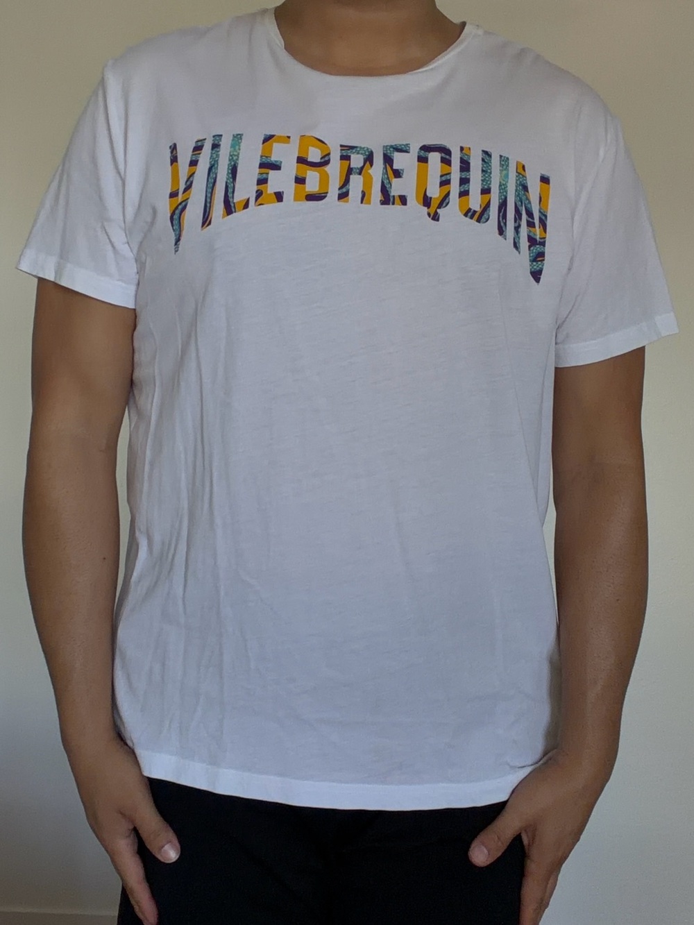 Vilebrequin Men’s octopus print logo (XL)